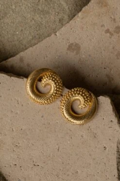 Gold Nova Earrings